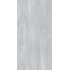 Плитка Allore Group Travertine Silver F PC R Mat 1200x600
