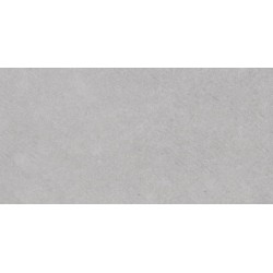 Плитка Allore Group Versailles Silver NR Satin 250x750
