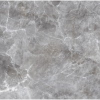 Плитка Allore Group Moon Silver F P R Full Lappato 600x600