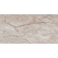 Плитка Allore Group Armina Dark Beige W M NR Glossy 608x308