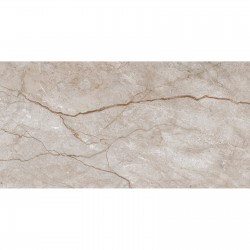 Плитка Allore Group Armina Dark Beige W M NR Glossy 608x308