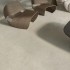 Плитка Almera Ceramica P75027F Beige 1500x750