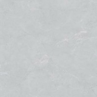 Плитка Almera Ceramica PN03 Light Grey Pol 1000x1000