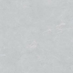 Плитка Almera Ceramica PN03 Light Grey Pol 1000x1000