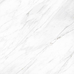 Carrara Classico 1200x1200