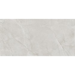 Плитка Almera Ceramica T62041Pl1 Peak Light Grey