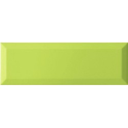 Плитка Ape Loft Oasis 100x300x8