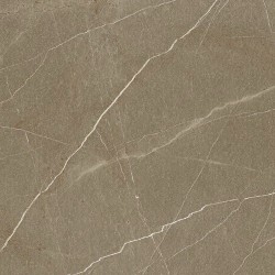 Плитка Ape Ceramica Fastination Bone Polished Rect
