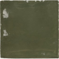 Ape Seville Green 100x100