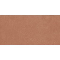 Плитка Ape Argillae Coral Rect. 600X1200