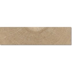 Argenta Nolan Miele 1200x300