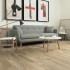 Argenta Nolan Miele 1200x300