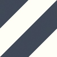 Плитка Ceramica Deseo Ec. Zebra Navy 223x223x9