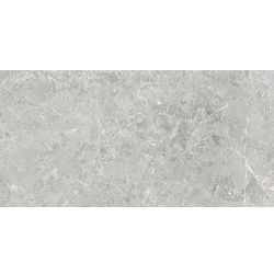 Плитка Ceramica Deseo Delia Grey Matt Rect 1198x598