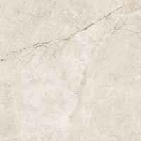 Salacia Fusion 600x600