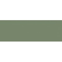Плитка Ceramika Color Spettacolo Verde Rett (SPC007) 900x300