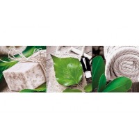 Декор Ceramika Color Lakewood Spa 2 200x600