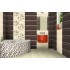 Плитка Ceramika Color Venus Brown 250X600