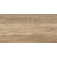 Плитка Ceramika Color Brentwood Honey Rett 600x300