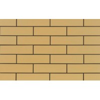 Плитка Cerrad Elewacja Gladka Piaskowa