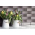 Плитка Cerrad Grafit Glazed 65X245