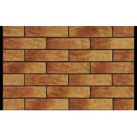 Плитка Cerrad Dakota Rustiko 65x245