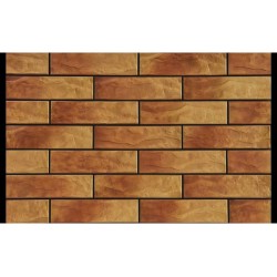 Плитка Cerrad Dakota Rustiko 65x245