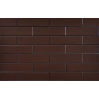 Плитка Cerrad Braz Glazed 65X245