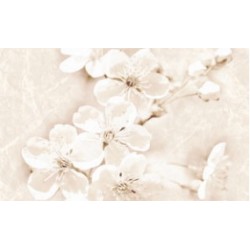 Декор Cersanit Sofi Inserto Flower 250x400x8.5