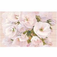 Декор Cersanit Carmel Flower 250x400