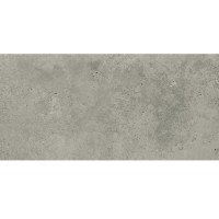 Плитка Cersanit Gptu 1202 Light Grey 598x1198x8