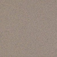 H200 Grey 300x300