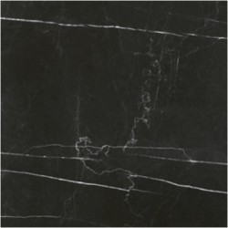 Emigres Pre 310 (60x60)