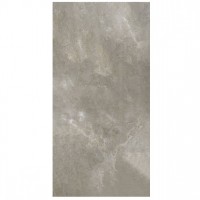 Плитка Fiandre Aion Maximum Grey Aion Naturale (MMS27661530) 3000x1500