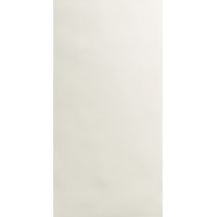Плитка Fiandre Musa Chalk Musa (AI225X664) 1200x600