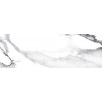 Geotiles Valeria Plata 250x500