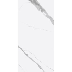 Плитка Golden Tile 6N0900 Calacatta Vera Rect 600x1200