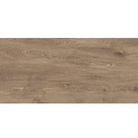 Плитка Golden Tile Alpina Wood Brown 897940 607x307