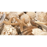 Декор Golden Tile Е11411 Sea Breeze Бежевий 300x600