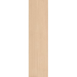 Плитка Imola Ceramica Wcst 3012A Rm 1200x300