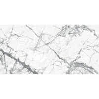Плитка Intercerama 12060 209 071/G Statuario Світло-сірий 1200x600
