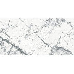 Плитка Intercerama 12060 209 071/G Statuario Світло-сірий 1200x600