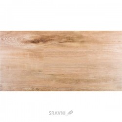 Плитка Konskie Group Scandinavia Beige 31*62