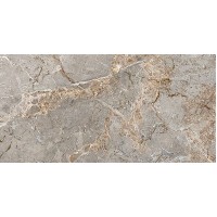 Плитка La Fabbrica 163101 Breccia Argentum Lap. Rect. 600X1200