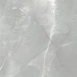 Плитка Megagres GMXN104P Grey Pol 600x600