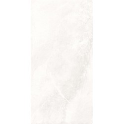 Плитка Nowa Gala Tioga Білий Rect Nat 597X1197