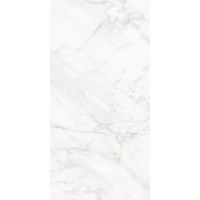 Плитка Nowa Gala Frost White Білий Pol 297X597
