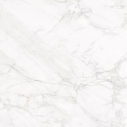 Плитка Nowa Gala Frost White Білий Pol 597X597