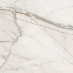Opoczno Gptu 609 White Matt Rect 598x598