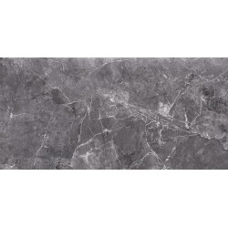 Плитка Opoczno Teneza Grey Glossy 297x600